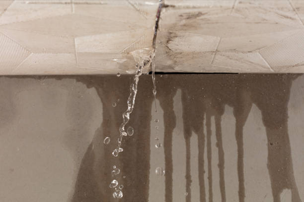 Professional Flood Damage Cleanup technician working in Delaplane, VA